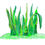 Gras